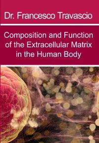 Composition and Function of the Extracellular Matrix in the Human Body